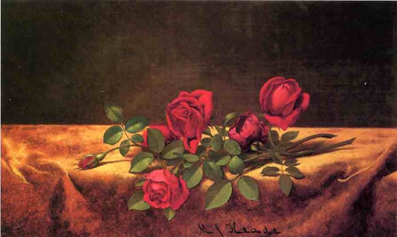 Martin Johnson Heade Roses Lying on Gold Velvet